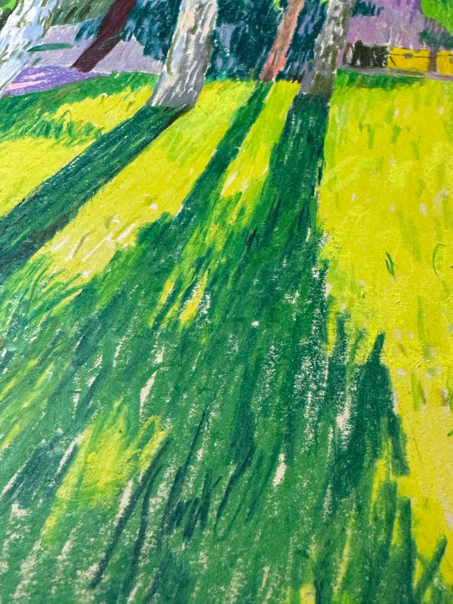 Lights in neighbourhood